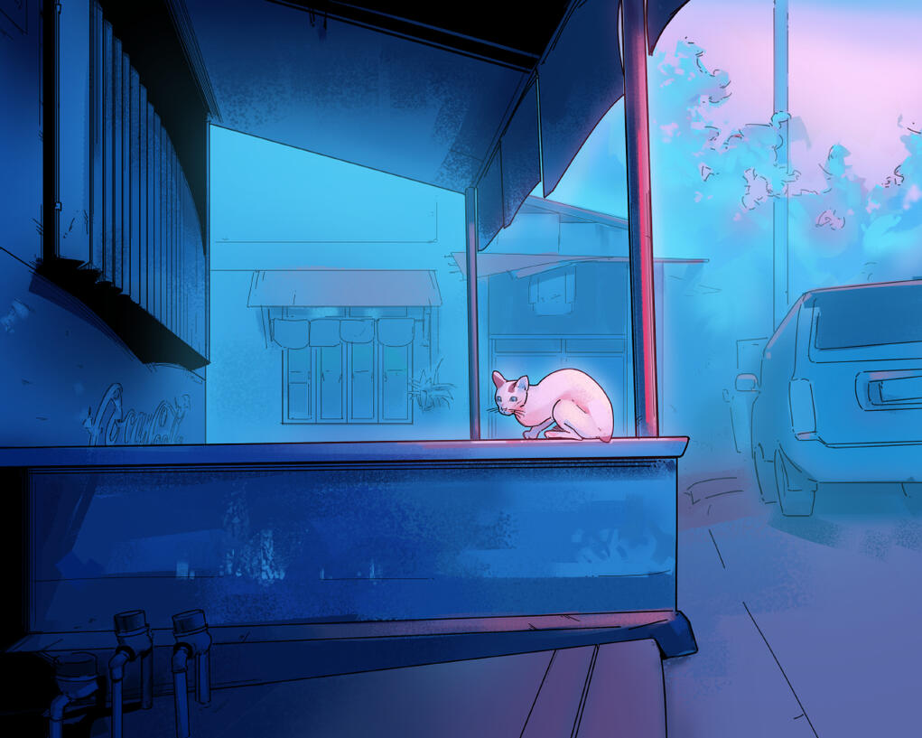 Personal Illusrtation